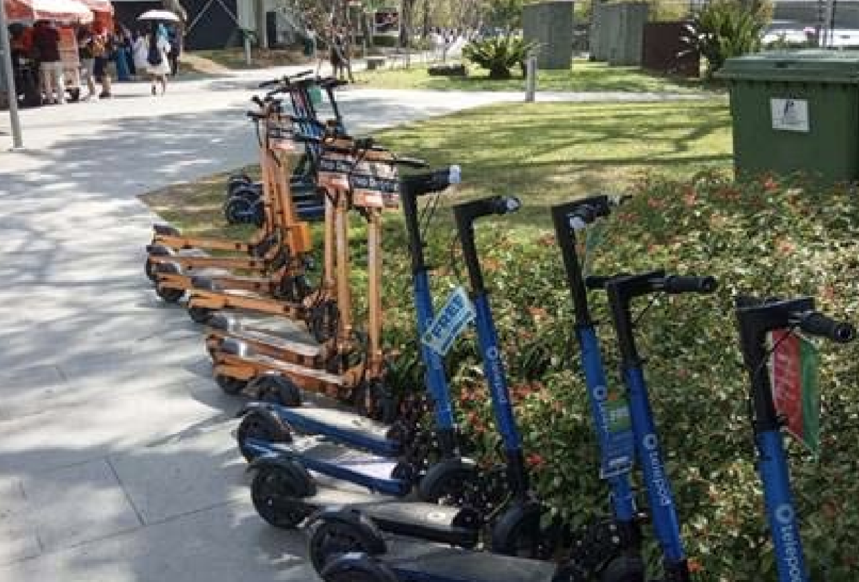 E-scooter sharing firms Telepod and Neuron Mobility’s devices which were impounded at Esplanade Drive on 7 February. (Photo: LTA)