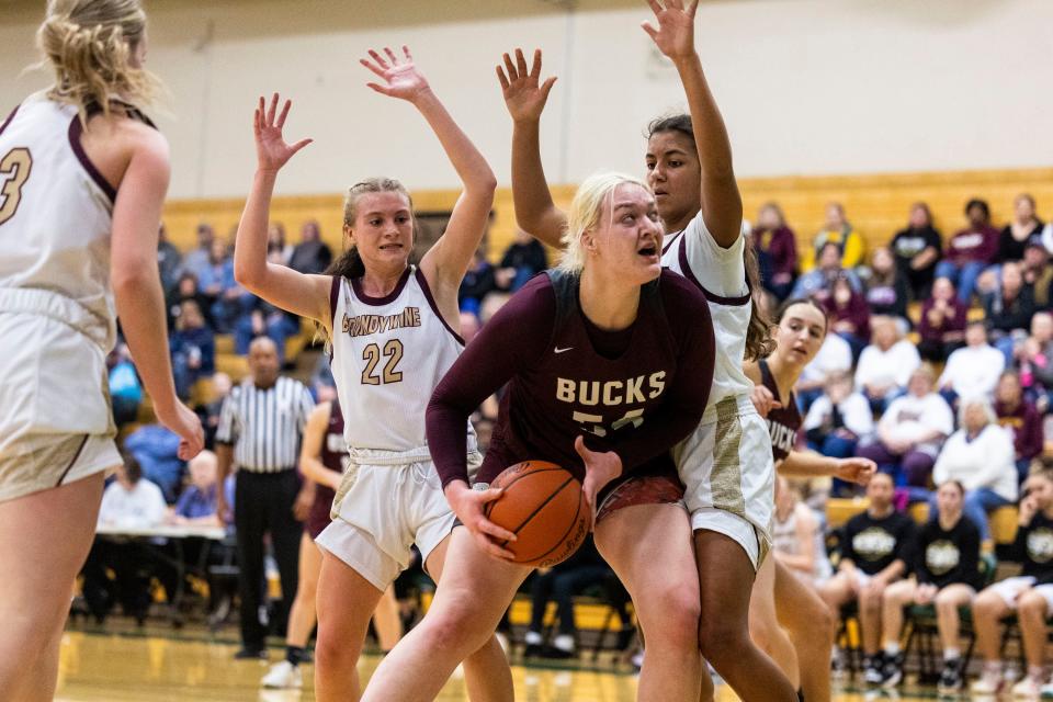 Buchanan's Faith Carson (54) goes up for a shot as Brandywine's Adeline Gill (0) and Brandywine's Miley Young (22) defend during the Brandywine-Buchanan high school Division 3 District 78 basketball game on Saturday, March 04, 2023, at Coloma High School in Coloma, Michigan.