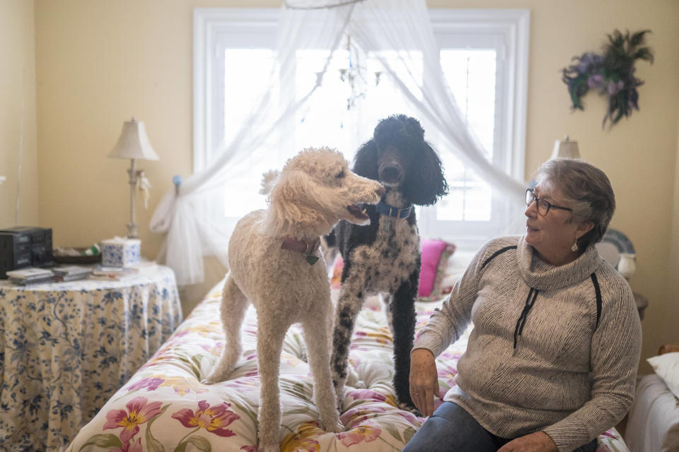 Joyce Ares plays with her poodles Gracie, left, and Oliver in the dinning room of her home on Friday, March 18, 2022, in Canby, Ore. She had volunteered to take a blood test that is being billed as a new frontier in cancer screening for healthy people. It looks for cancer by checking for DNA fragments shed by tumor cells. (AP Photo/Nathan Howard)