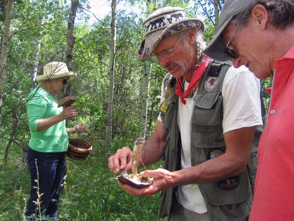 This Aug. 4, 2012 photo shows guide Larry Evans discussing a mushroom found during a mountain excursion organized by Four Seasons Resort Vail in Vail, Colo. For $200 a person, the Four Seasons Resort Vail is sending out guided expeditions in luxury SUVs to look for mushrooms. The Mushrooms & Mercedes program includes a lunchtime break with wine, cheese and prosciutto, and ends with a three-course mushroom-themed meal back at the hotel.(AP Photo/Catherine Tsai)