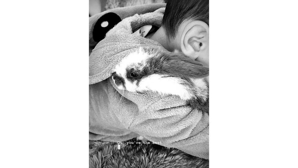 A young boy hugging a rabbit