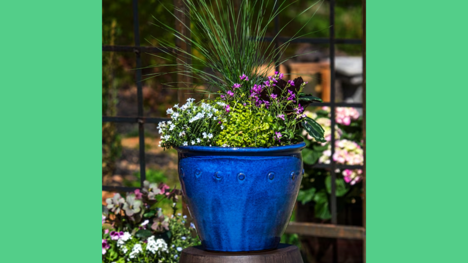 Tiffani Thiessen's picks: Ceramic Planter