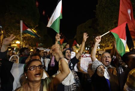 Pro-Palestine demonstrators protest against Israel's military action in Gaza, at Avenue Habib Bourguiba in Tunis July 25, 2014. REUTERS/Anis Mili