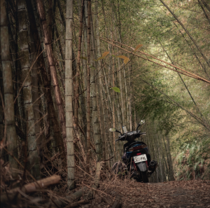 Lost somewhere with my scooter and find a beautiful bamboo forest on the road in the middle of Taiwan, the caption reads. (Courtesy of Breckler Pierre)