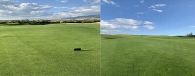 Treated 14th Fairway at Indian Springs Golf Course (CNW Group/Replenish Nutrients Holding Corp.)