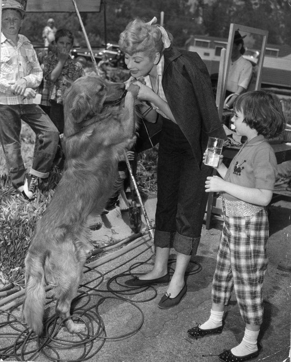 <p>The actress is distracted on the set of director Vincente Minnelli's film by a golden retriever. Lucille was joined on set by her husband, as they appeared in the film together. </p>