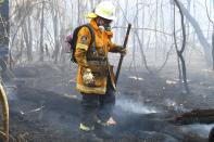 A firefighter doses a bushfire in the residential area of Sydney on November 12, 2019. - A state of emergency was declared on November 11, 2019 and residents in the Sydney area were warned of "catastrophic" fire danger as Australia prepared for a fresh wave of deadly bushfires that have ravaged the drought-stricken east of the country. (Photo by Saeed KHAN / AFP) (Photo by SAEED KHAN/AFP via Getty Images)