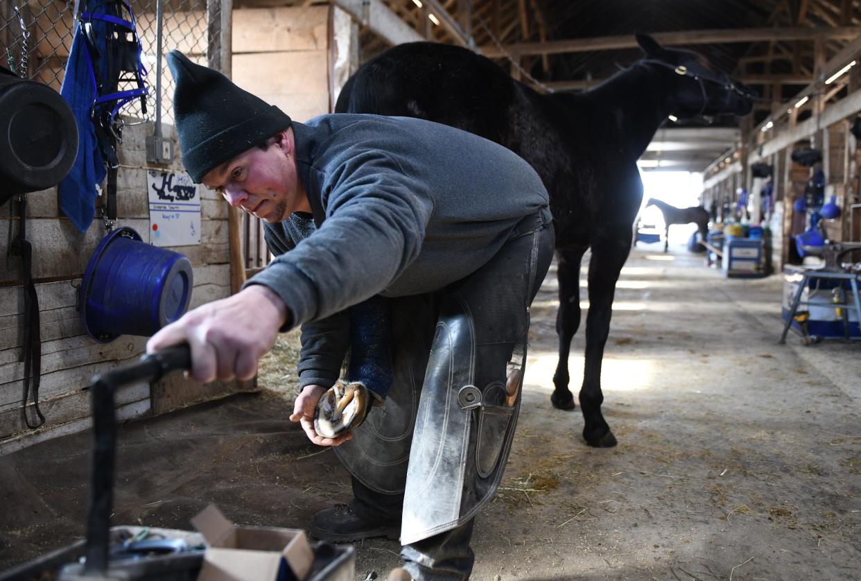 Farrier Michael Miller from Holmes County works with Intense Storm, who is nicknamed Hagrid, at Harvey Stable at the Stark County Fairgrounds in Canton.