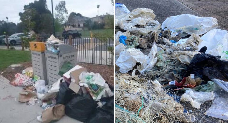 Two images. Left is of public bins overflowing with household rubbish. Right is of a heap of rubbish littering the ground.