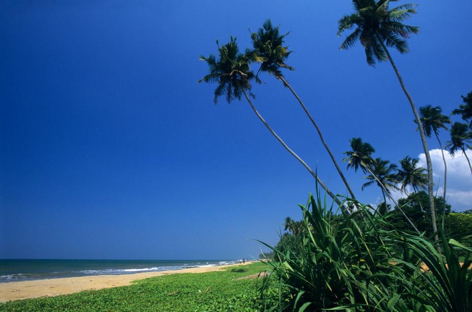 Find affordable adventure in Sri Lanka (Getty Images/iStockphoto)