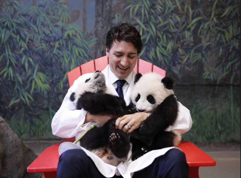 Zum Knuddeln! Justin Trudeau mit Panda-Babys. (Bild: Twitter)