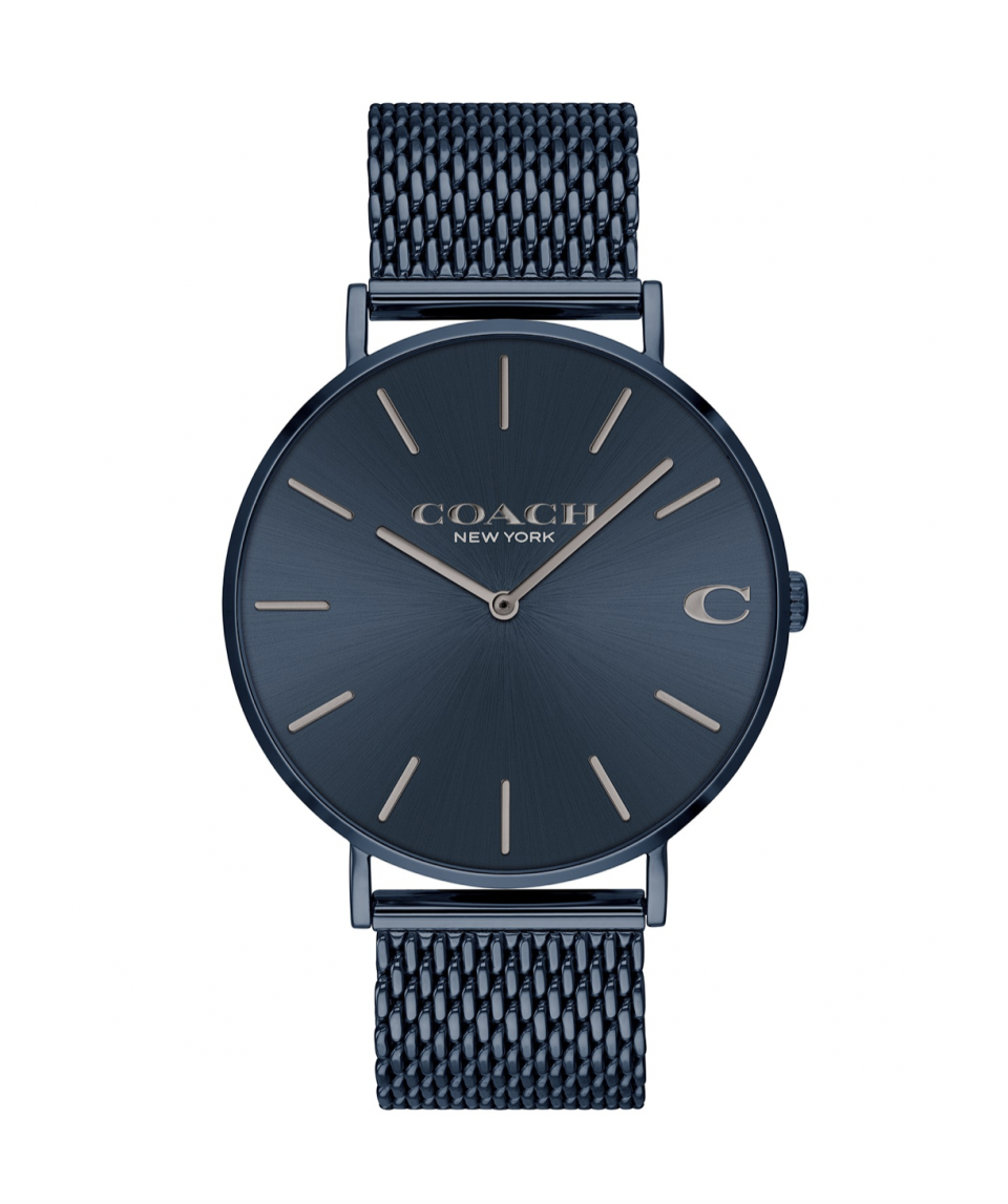 Charles Blue Stainless Steel Mesh Watch