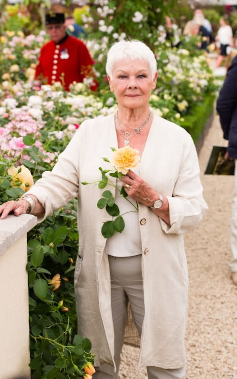 judi dench chelsea flower show - Credit: Getty