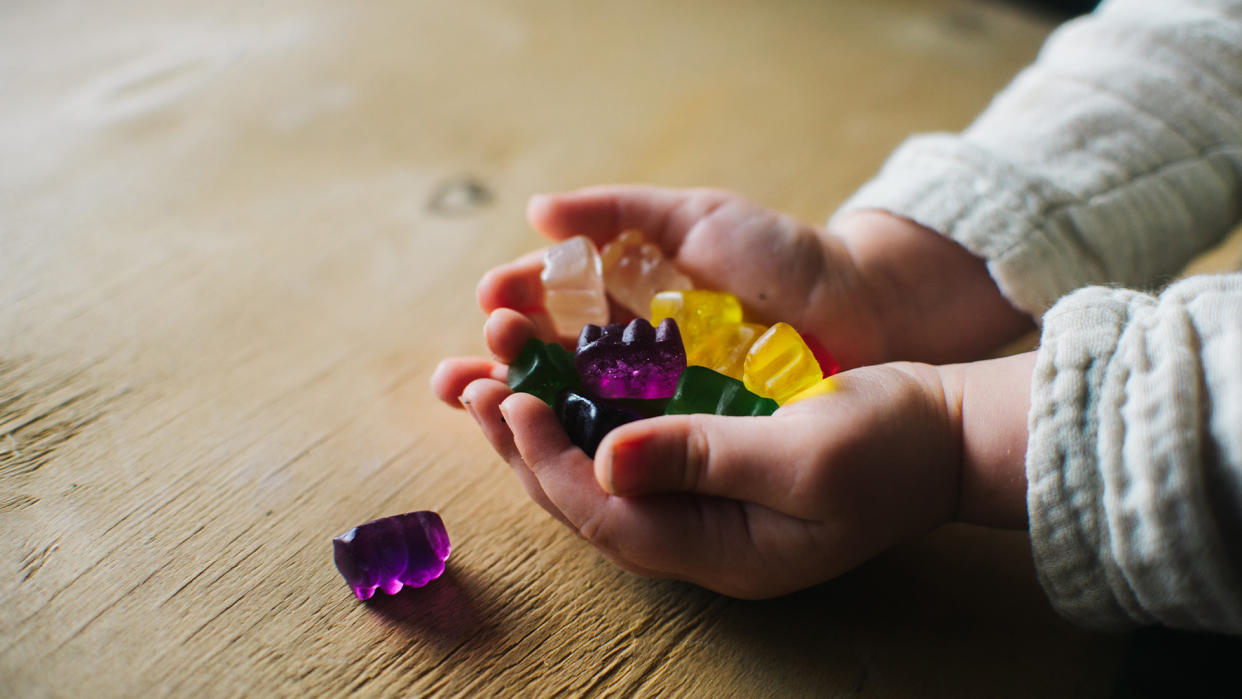  Hands of a little girl holding many multi-colored gummy bears. 