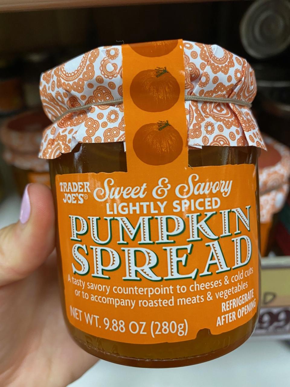 Sweet & Savory Lightly Spiced Pumpkin Spread