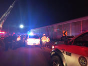 <p>Emergency crews attend to the site of a train collision near Pine Ridge, Lexington County, South Carolina, on Feb. 4, 2018 in this image obtained from social media. (Photo: County of Lexington via Reuters) </p>