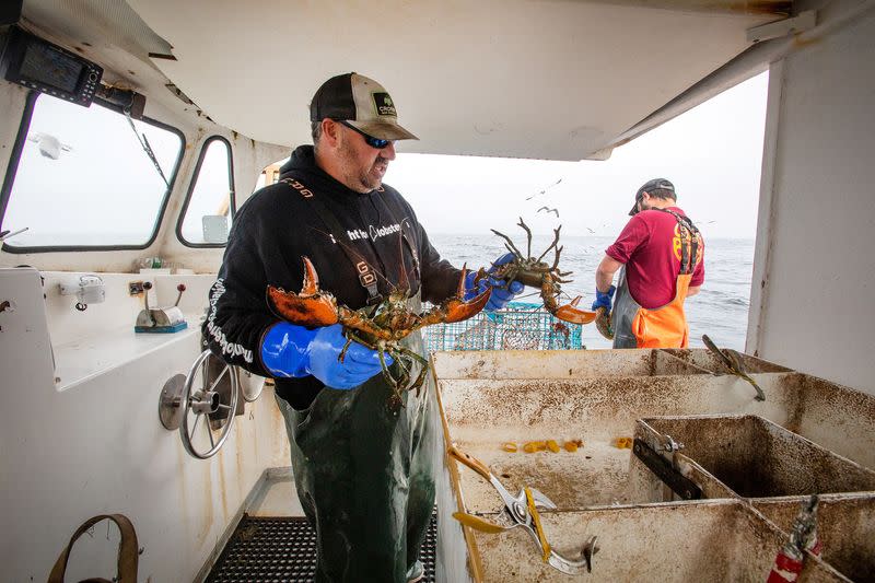 North Atlantic right whales and lobstermen entangled, could on-demand fishing gear help