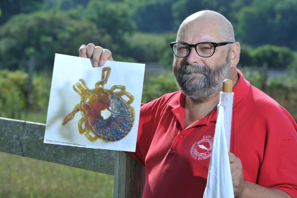 Cape Cod Cooperative Extension entomologist Larry Dapsis holds a high magnification image of a female Lone Star tick in Barnstable.