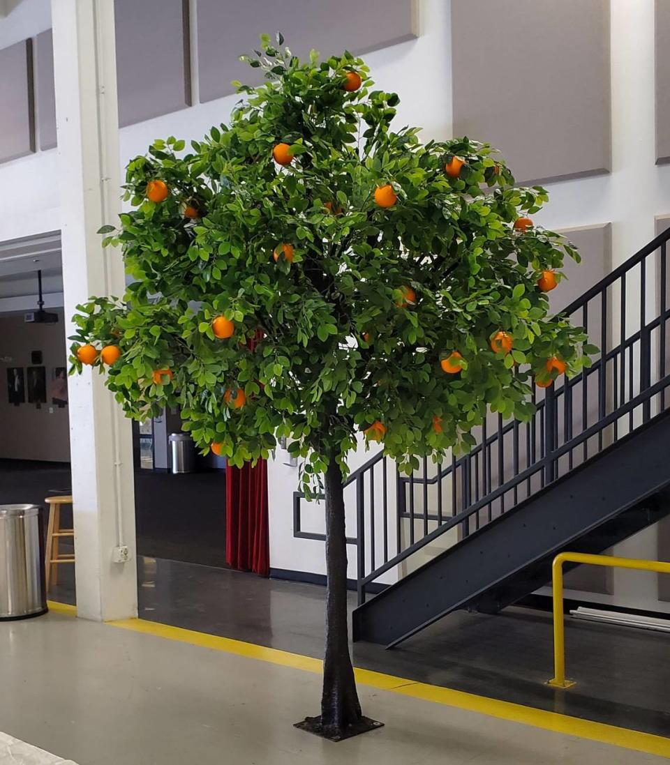 “The first thing the chorus is singing about is the orange trees,” said designer Steven Kemp. “We want the audience to smell those orange trees.”