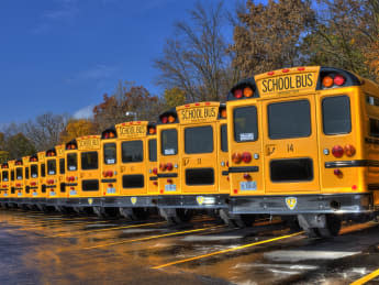 School buses in the fall