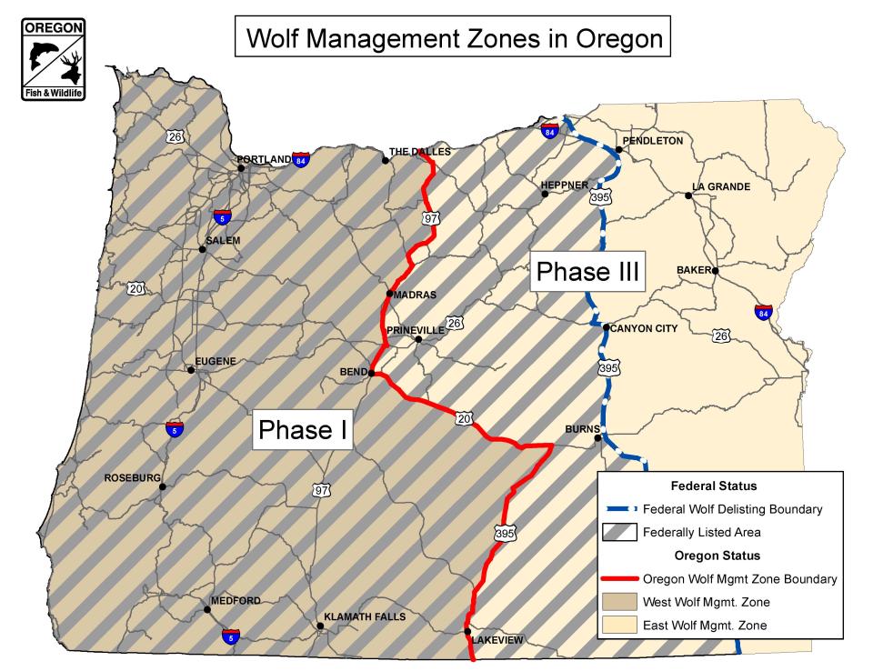 A map showing where wolves were previously protected under the federal Endangered Species Act. Those protections were removed Thursday.