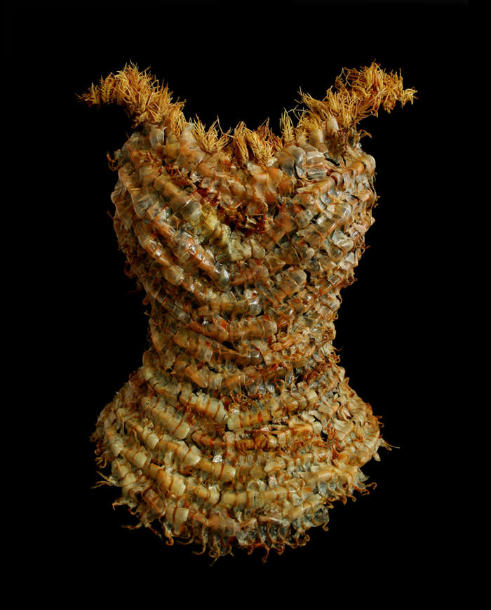 Shrimp corset