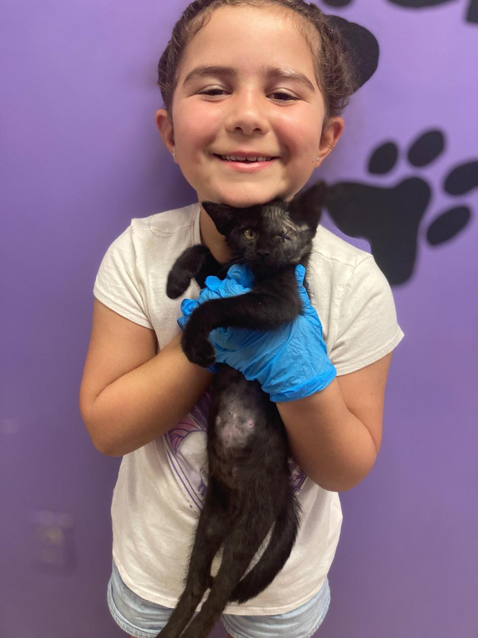 Lily Deltillier holding Kitten-shadow, at the Lafourche Parish Animal Shelter. Kitten-shadow was part of Operation Whiskers, a five parish program to spay and neuter wild cats, July 12.