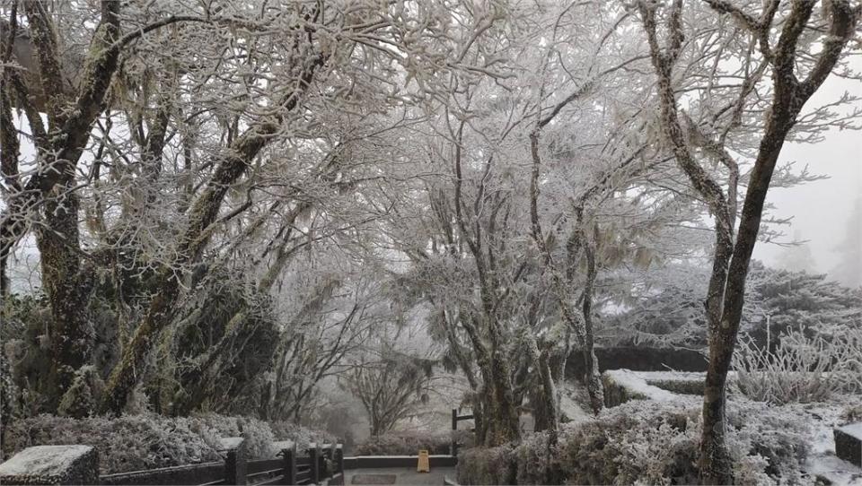 快新聞／連假最後2天要把握！　太平山冰霜、霧凇美景引遊客綿延3公里