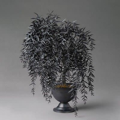 4) 22" Fauxtanical Friend Faux Willow Potted Plant - John Derian for Threshold™