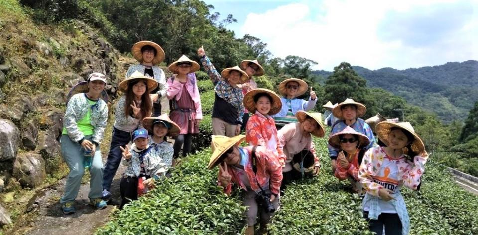 《圖說》「藍鵲茶採茶體驗與生態守護」帶領大家來到坪林茶園，體驗古法採茶、製茶。〈農業局提供〉