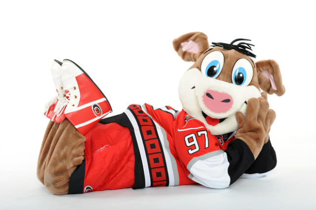 All Star Dogs: Carolina Hurricanes Pet Products