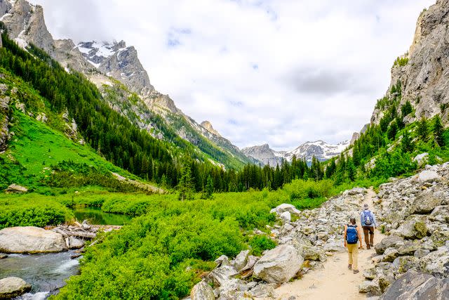 <p>Getty</p> A stock image of hikers in a national park