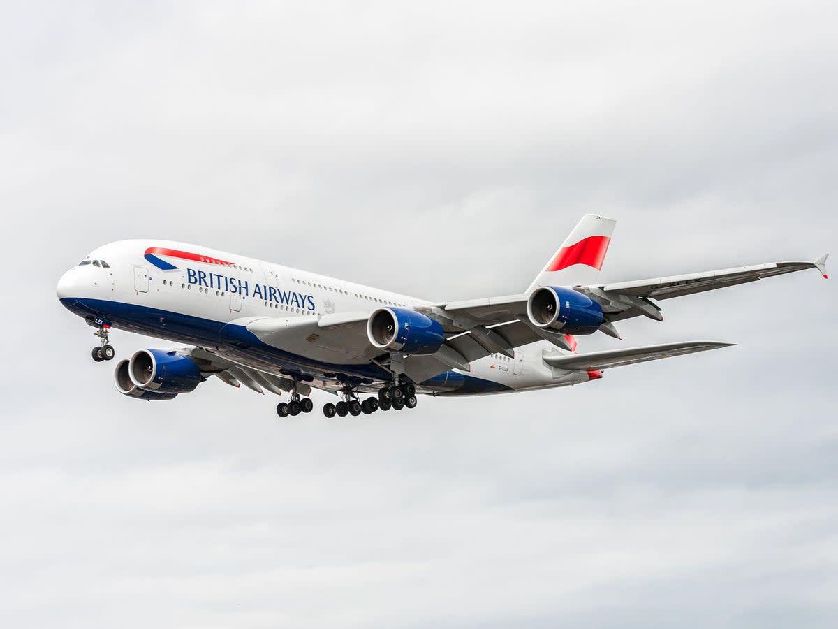 The plane was in the air for little over 30 minutes before it returned to the airport  (Getty Images)