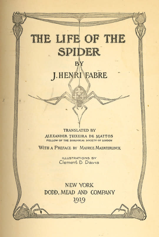 What are Spiders?  Arachnophilia - Online exhibitions across Cornell  University Library