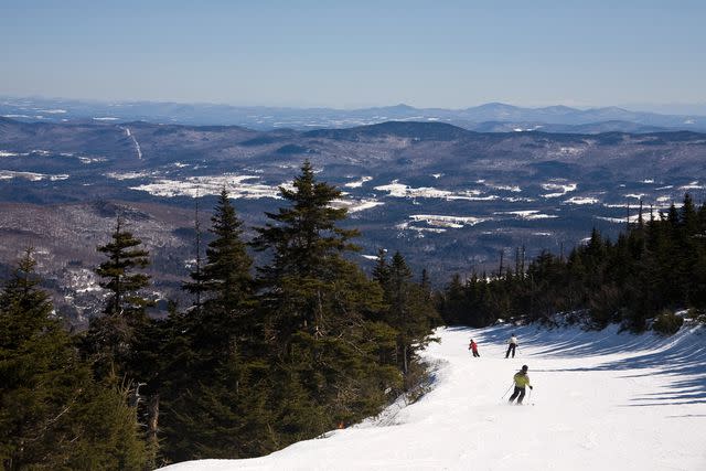 <p>capecodphoto/Getty Images</p>