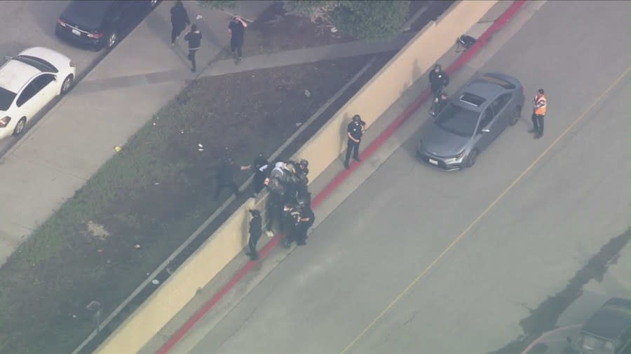 Several protesters taken into custody after blocking lanes near LAX 