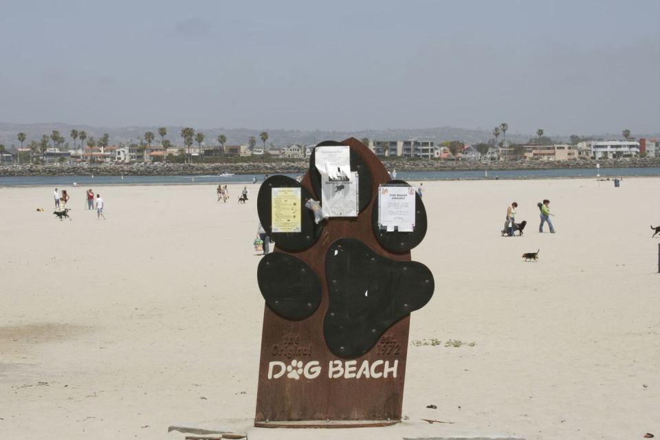 <p>If you're traveling with a furry friend, they'll have essentially entered heaven's gates upon pawing into the sand at San Diego’s <a href="https://oceanbeachsandiego.com/attractions/beaches/dog-beach" rel="nofollow noopener" target="_blank" data-ylk="slk:Dog Beach;elm:context_link;itc:0;sec:content-canvas" class="link ">Dog Beach</a>. It's a sanctuary for pups and "pawents" alike, where the four-legged friends can roam leash-free.</p>