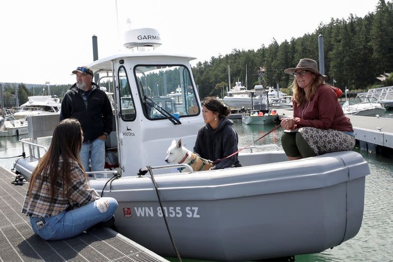 Orca behavior experts intrigued by boat bumpings that have captivated the world