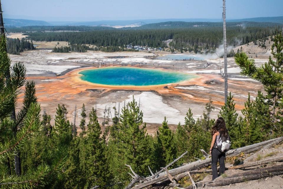 Ich habe monatelang im Yellowstone National Park gelebt und ihn erkundet.  - Copyright: Ellen Pabst dos Reis/Getty Images