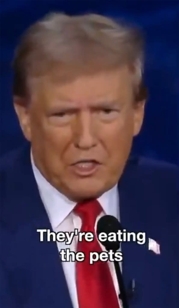 Trump’s comment about immigrants eating pets is dubbed to the beat in the song. io/X