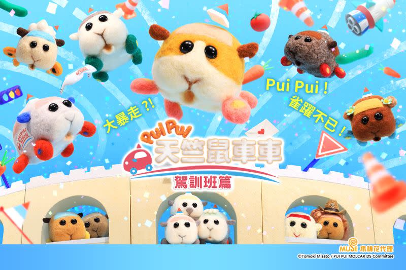 ▲《PUI PUI 天竺鼠車車》全新篇章「駕訓班篇」於10/8(六)起，在各大平台陸續更新。（圖／木棉花提供）