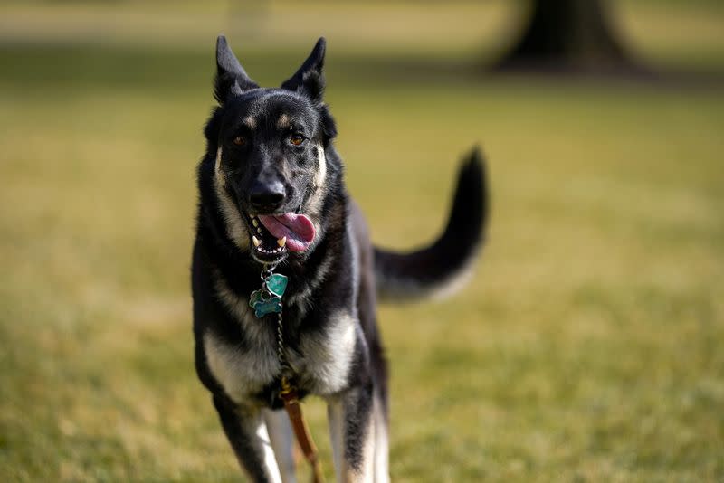 FILE PHOTO: Major explores the South Lawn after on his arrival from Delaware at the White House