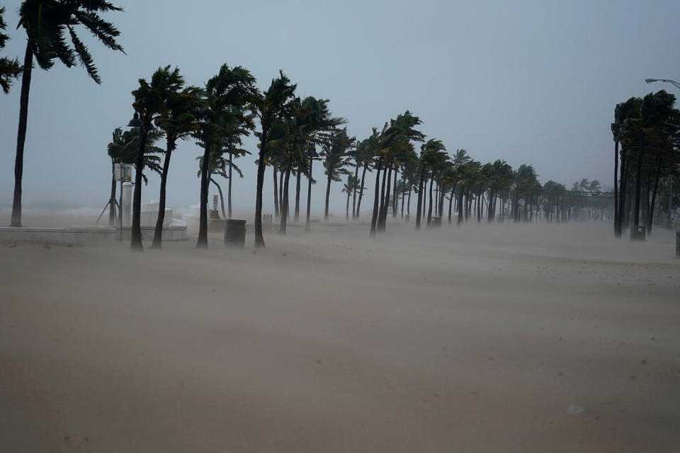 <p><strong>Ft. Lauderdale</strong><br> Sand covers Ft. Lauderdale Beach Blvd. after Hurricane Irma blew though Ft. Lauderdale, Fla., Sept. 10, 2017. (Photo: Carlo Allegri/Reuters) </p>