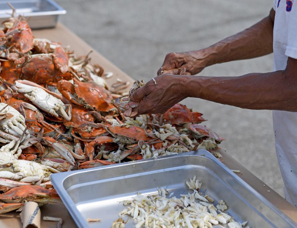 Shelia Ames picks crabs in the crab picking contest at the annual National Hard Carb Derby Saturday, Sept. 4, 2021, at the Somers Cove Marina in Crisfield, Maryland.