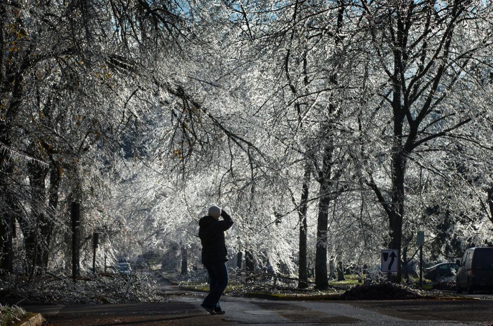 With no power to her home in Eugene, Emily Uhlman takes a walking tour of her Fairmount neighborhood as the sun shines through the ice covered trees along the Villard Street in 2016. Officials worried a similar storm could hit the area this weekend, warning residents to stay home if possible.