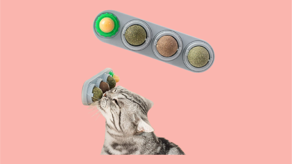 The best cat gifts to give from Amazon: Catnip wall toy