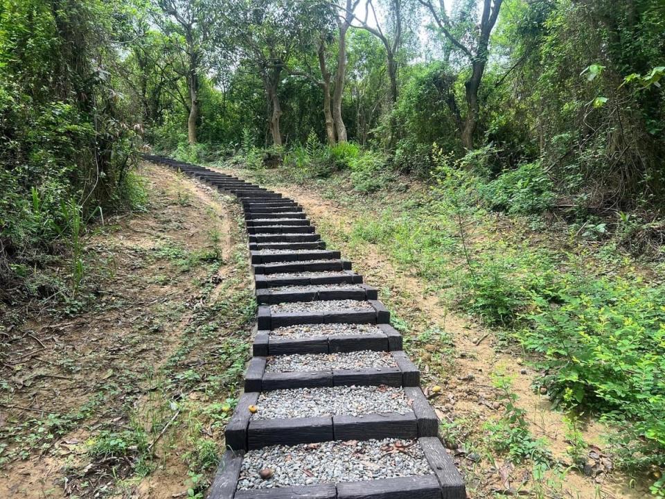 林間步道階梯。   圖：台南市政府觀光旅遊局／提供