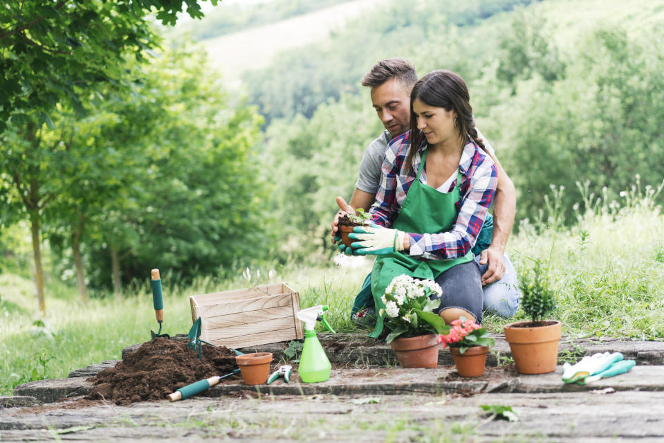 Man and woman repotting plants enjoying each other