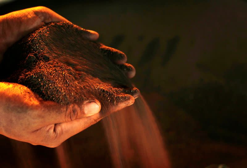 FILE PHOTO: A worker poses with a handful of nickel ore at the nickel mining factory of PT Vale Tbk, near Sorowako