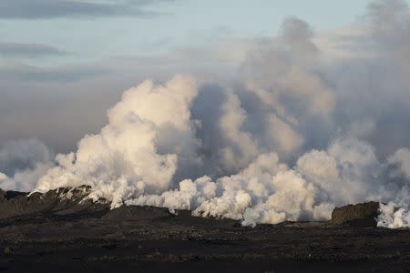 Steam and smoke rise over a 1-km-long fissure in a lava field north of the Vatnajokull glacier, which covers part of Bardarbunga volcano system, August 29, 2014. REUTERS/Marco Nescher